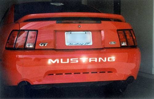 Mustang Stainless Steel Bumper Insert