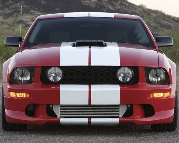 Ford Mustang White Lemans Stripes