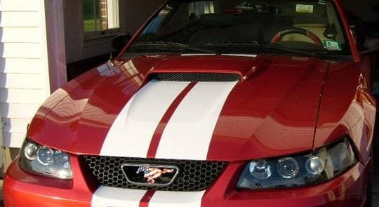 Ford Mustang White Lemans Stripes